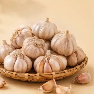 Bawang Putih Kating