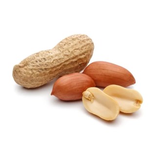 Kacang Tanah