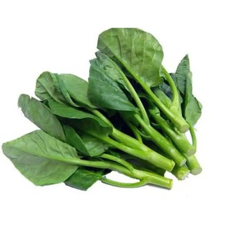Kailan